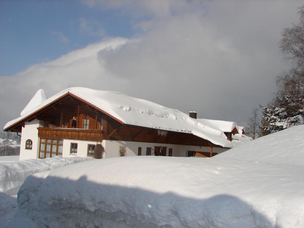 Wellness Ferienwohnungen Zellertalblick Drachselsried Exterior photo